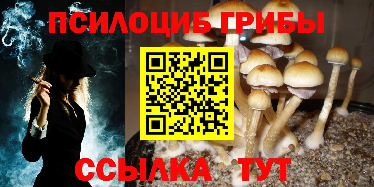 Псилоцибиновые грибы GOLDEN TEACHER  Вход с VPN  Чистополь 