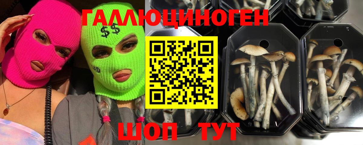 Псилоцибиновые грибы мухоморы Чистополь